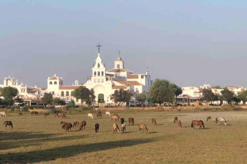 Casa Luz Del Rocio Refugio Con Alma A 8 Minutos De La Ermita Διαμέρισμα Εξωτερικό φωτογραφία